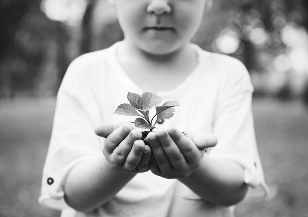 O que realmente sabemos sobre a natureza e a realização do potencial humano?